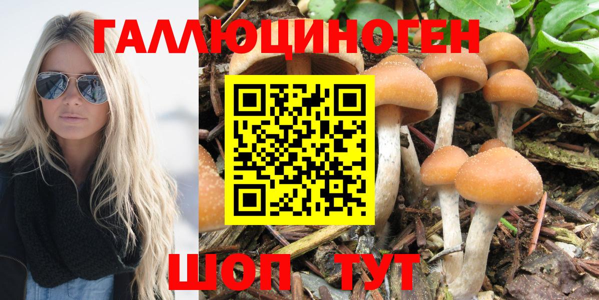 Псилоцибиновые грибы мухоморы Великий Новгород