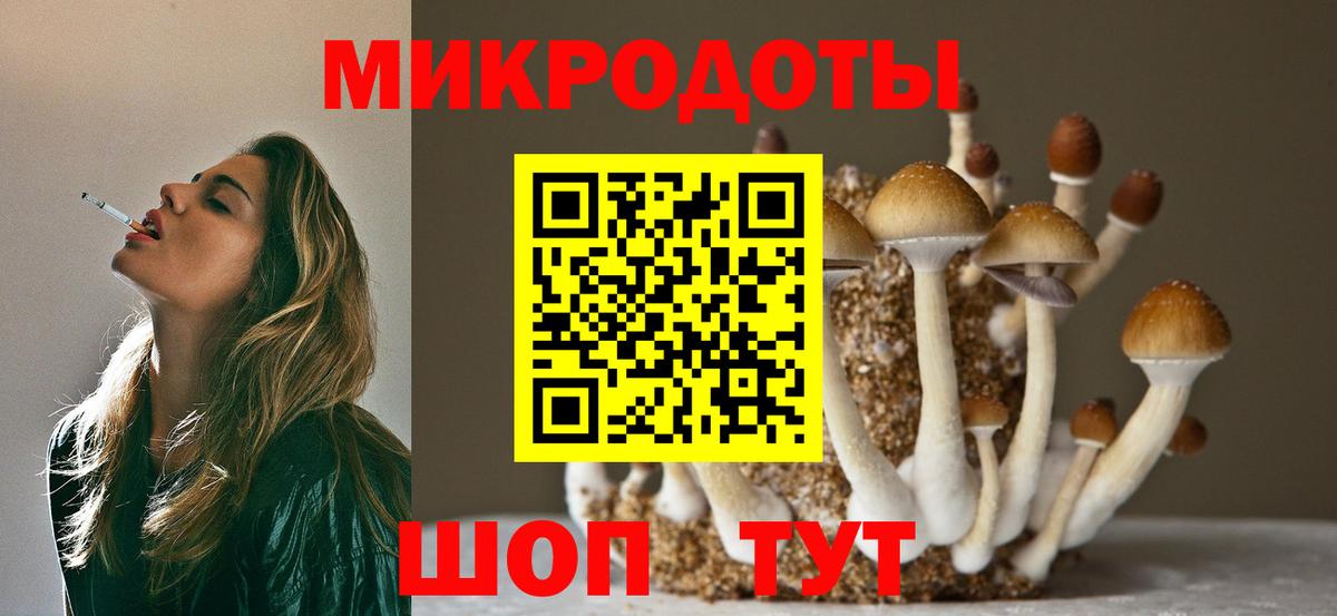 Галлюциногенные грибы прущие грибы  Псилоцибиновые грибы MAGIC MUSHROOMS  Вход с VPN  Великий Новгород 