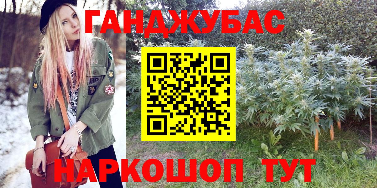 Шишки марихуана сатива Великий Новгород